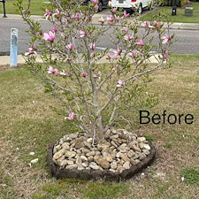 Rock-and-Plant-Installation-Project-Near-Myrtle-Beach-SC 8